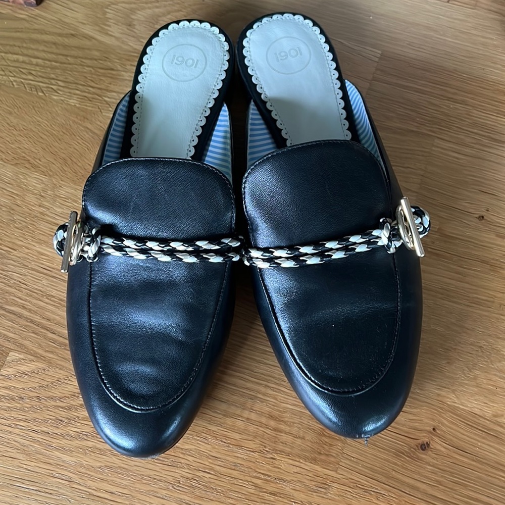 Slides medium size 9 1901